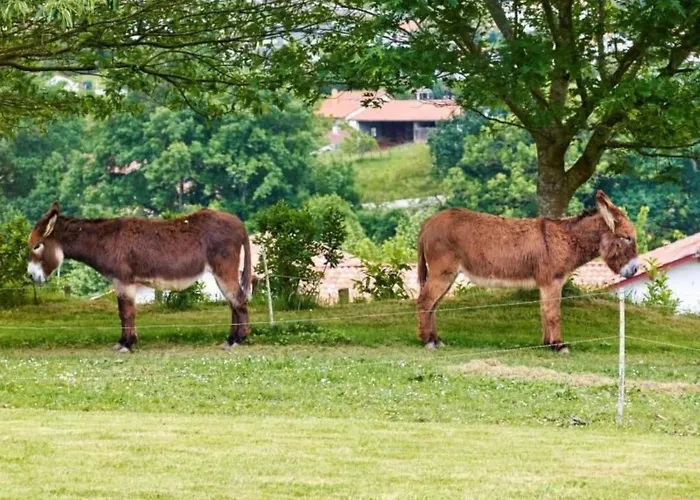 Ursuya By Interhome Appartement *