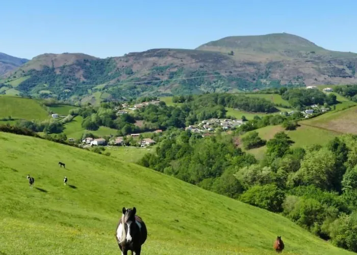 Ursuya By Interhome Louhossoa